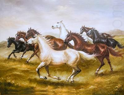 unknow artist Horses 015 china oil painting image